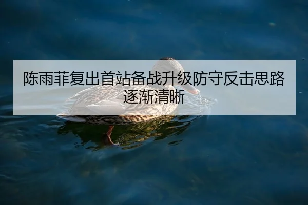 陈雨菲复出首站备战升级防守反击思路逐渐清晰
